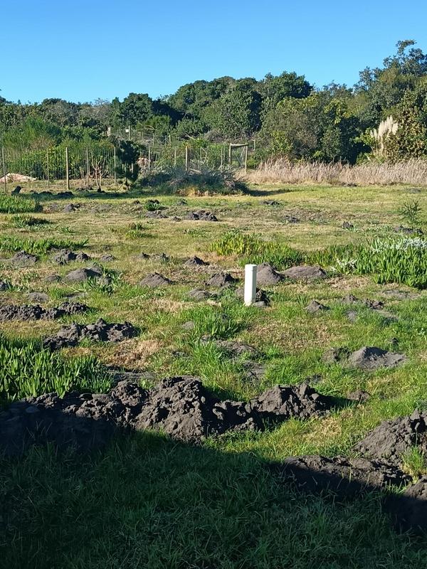 0 Bedroom Property for Sale in Albertinia Western Cape